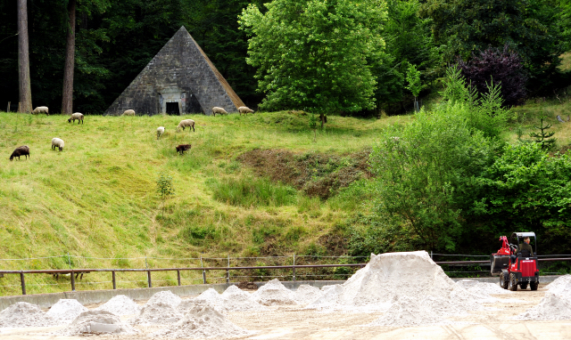 5. Juli 2016 - Trakehner Gestüt Hämelschenburg - Beate Langels