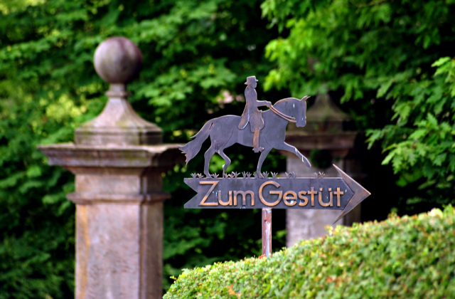 5. Juli 2016 - Trakehner Gestüt Hämelschenburg - Beate Langels