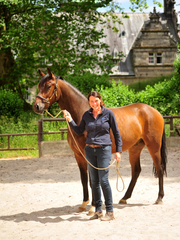 Sauveur - Trakehner von Freudenfest u.d. Schwalbenfeder v. Summertime - Foto: Beate Langels