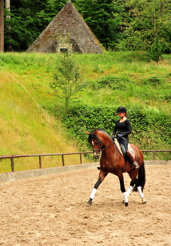 Thyra und High Motion v. Saint Cyr im Juli 2020 - Foto: Beate Langels - Trakehner Gestt Hmelschenburg