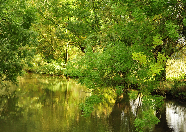 An der Emmer- Trakehner Gestt Hmelschenburg - Beate Langels