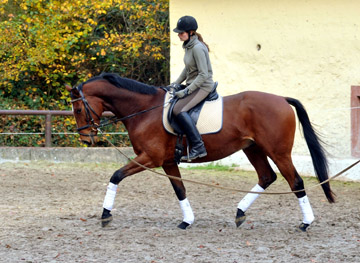 Goliath von Shavalou u.d. Guendalina v. Red Patrick xx - Foto: Beate Langels - Trakehner Gestt Hmelschenburg