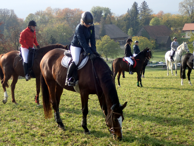  - Trakehner Gestt Hmelschenburg - Beate Langels