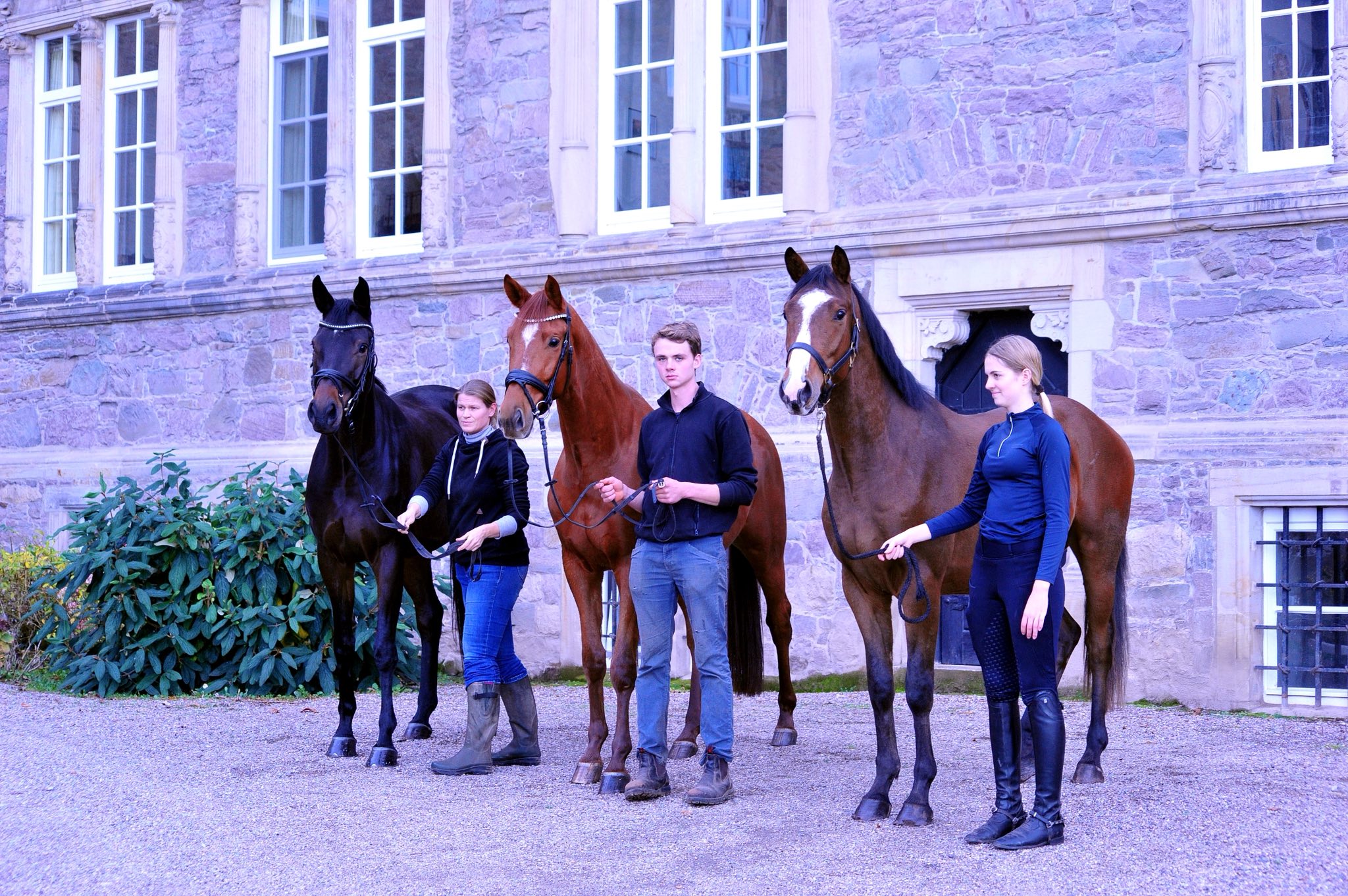 6.11.2025 Valentine's Nachzucht - Trakehner Gestt Hmelschenburg - Foto Beate Langels 