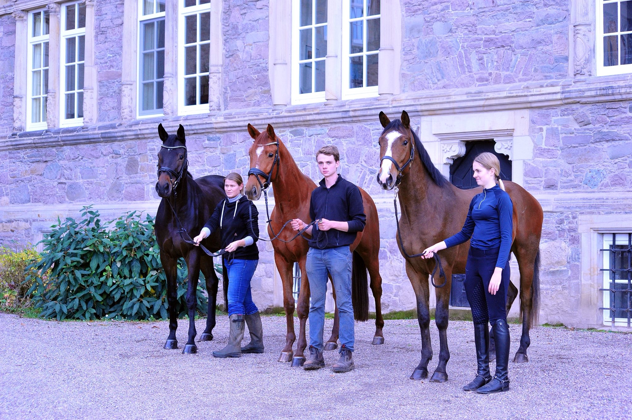 6.11.2025 Valentine's Nachzucht - Trakehner Gestt Hmelschenburg - Foto Beate Langels 