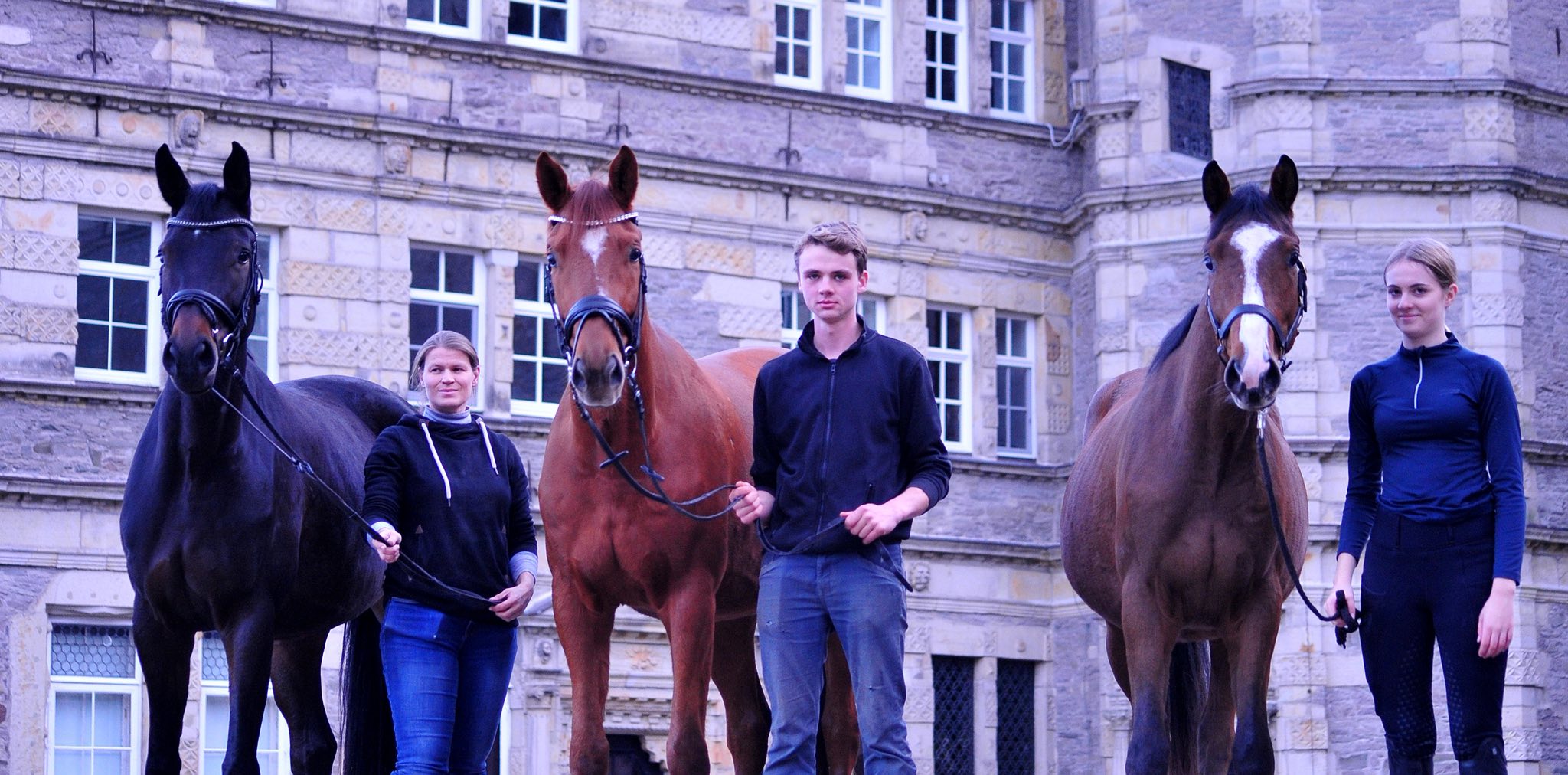 6.11.2025 Valentine's Nachzucht - Trakehner Gestt Hmelschenburg - Foto Beate Langels 