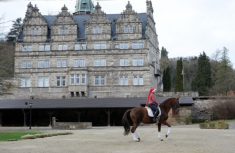 Pr.u.StPrSt. Kavalou und Pia - im Dezember 2021 in Hmelschenburg  - Foto: Beate Langels - Trakehner Gestt Hmelschenburg