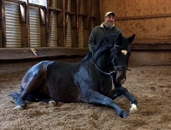  - Foto: Beate Langels - Trakehner Gestt Hmelschenburg