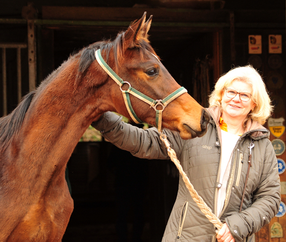 Hengstfohlen von High Motion x Hofrat - Trakehner Gestt Hmelschenburg 2018 - Foto: Beate Langels