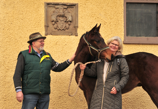 Hengstfohlen von High Motion x Hofrat - Trakehner Gestt Hmelschenburg 2018 - Foto: Beate Langels