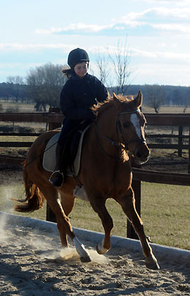 Donna Cara und Thyra - am 6. Mrz 2011 - Foto: Beate Langels - Trakehner Gestt Hmelschenburg