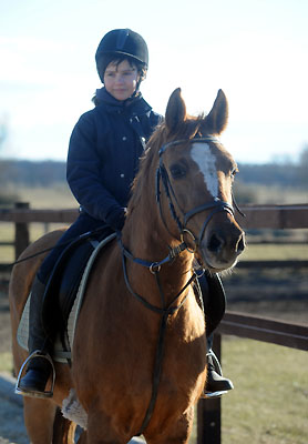 Donna Cara und Thyra - am 6. Mrz 2011 - Foto: Beate Langels - Trakehner Gestt Hmelschenburg