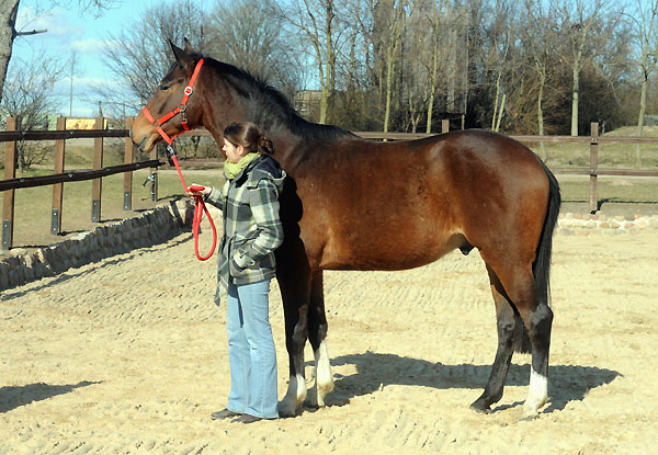 6. Mrz 2011 - Foto: Beate Langels - Trakehner Gestt Hmelschenburg