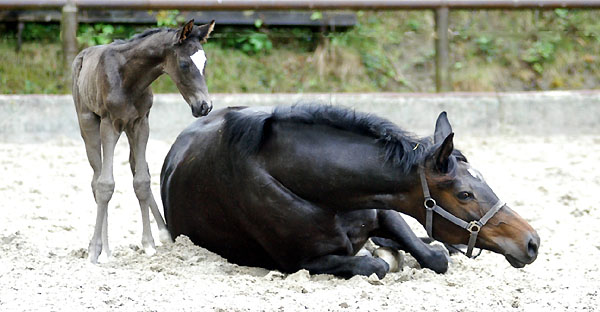 Schwalbenspiel und ihre Tochter von Kostolany, Foto: Beate Langels