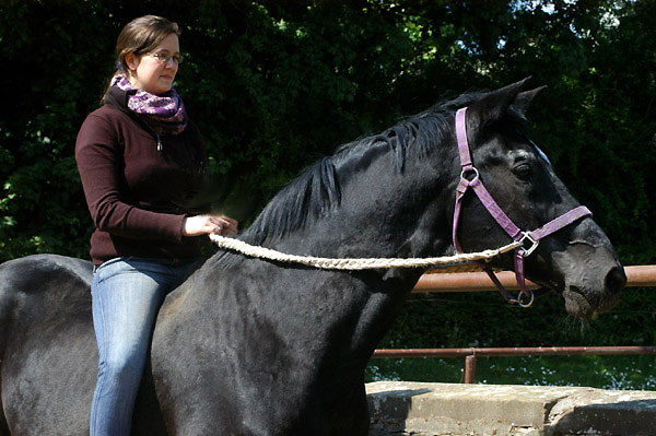 Kostolany und Luisa - 6. Mai 2011 - Foto: Beate Langels - Trakehner Gestt Hmelschenburg