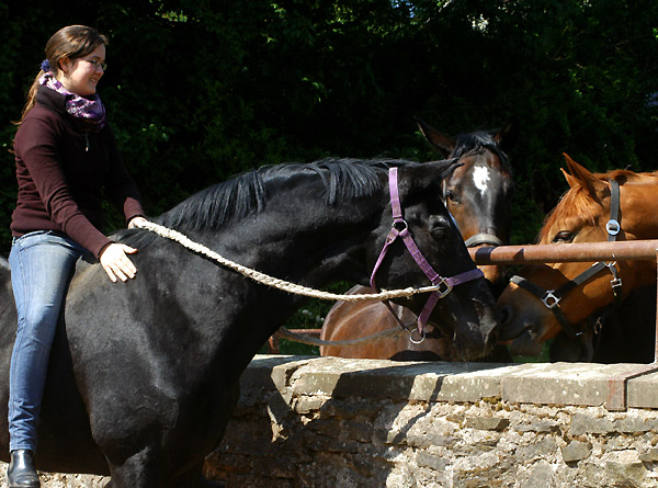 Kostolany und Luisa - 6. Mai 2011 - Foto: Beate Langels - Trakehner Gestt Hmelschenburg