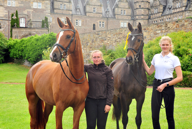 Klassic Motion u. Val d'Isere v. High Motion - Foto: Beate Langels - Trakehner Gestt Hmelschenburg