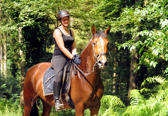 4jhrige Trakehner Stute Kitty von Freudenfest x Exclusiv - Foto: Beate Langels