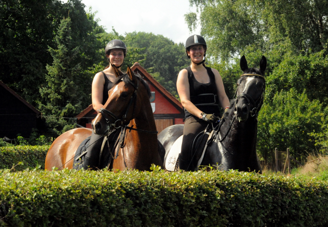 4jhrige Trakehner Stute Kitty von Freudenfest x Exclusiv - Foto: Beate Langels