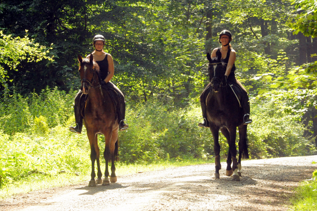 4jhrige Trakehner Stute Kitty von Freudenfest x Exclusiv - Foto: Beate Langels