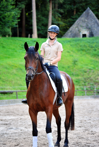 Klassic Touch - Trakehner Stute von Oliver Twist u.d. Pr. u. StPrSt. Klassic v. Freudenfest u.d. Elitestute Kassuben v. Enrico Caruso - Gestt Hmelschenburg - Beate Langels