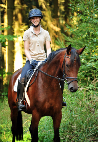 Klassic Touch - Trakehner Stute von Oliver Twist u.d. Pr. u. StPrSt. Klassic v. Freudenfest u.d. Elitestute Kassuben v. Enrico Caruso - Gestt Hmelschenburg - Beate Langels