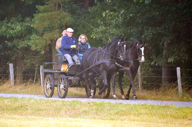 Schwalbenprinz v. Kostolany und Apollo v. Ruffian Reef xx aus dem Gestt Hmelschenburg - gefahren von Heinrich Freiherr von Senden
 - copyright by Beate Langels