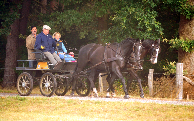 Schwalbenprinz v. Kostolany und Apollo v. Ruffian Reef xx aus dem Gestt Hmelschenburg - gefahren von Heinrich Freiherr von Senden
 - copyright by Beate Langels
