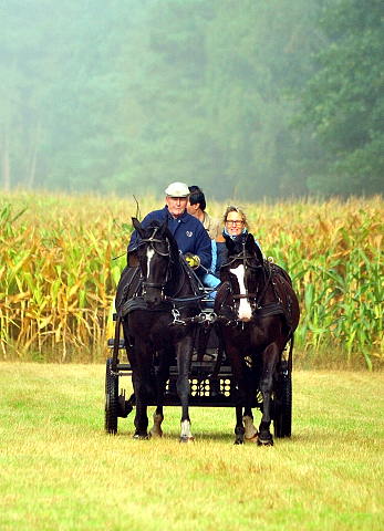 Schwalbenprinz v. Kostolany und Apollo v. Ruffian Reef xx aus dem Gestt Hmelschenburg - gefahren von Heinrich Freiherr von Senden
 - copyright by Beate Langels