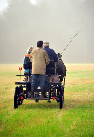 Schwalbenprinz v. Kostolany und Apollo v. Ruffian Reef xx aus dem Gestt Hmelschenburg - gefahren von Heinrich Freiherr von Senden
 - copyright by Beate Langels