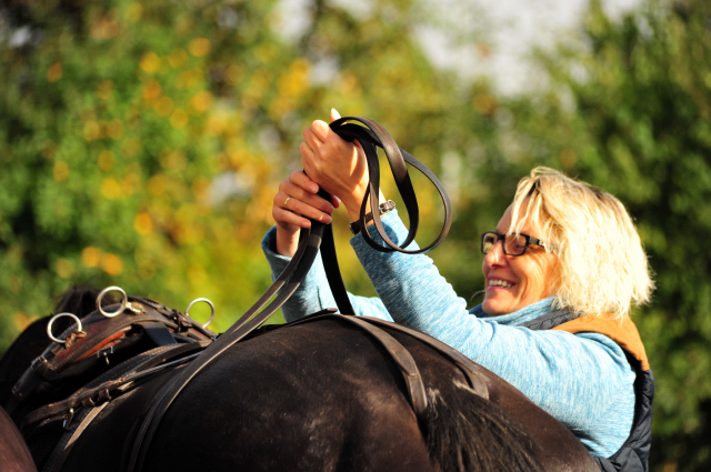 Schwalbenprinz v. Kostolany und Apollo v. Ruffian Reef xx aus dem Gestt Hmelschenburg - gefahren von Heinrich Freiherr von Senden
 - copyright by Beate Langels