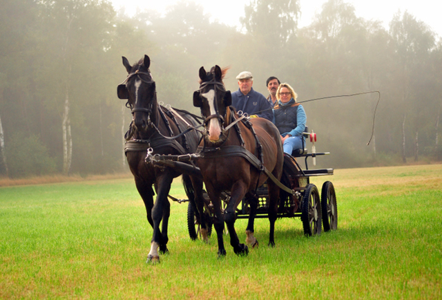 Schwalbenprinz v. Kostolany und Apollo v. Ruffian Reef xx aus dem Gestt Hmelschenburg - gefahren von Heinrich Freiherr von Senden
 - copyright by Beate Langels