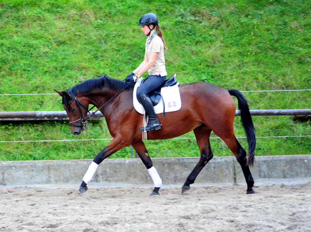 Klassic Touch - Trakehner Stute von Oliver Twist u.d. Pr. u. StPrSt. Klassic v. Freudenfest u.d. Elitestute Kassuben v. Enrico Caruso - Gestt Hmelschenburg - Beate Langels