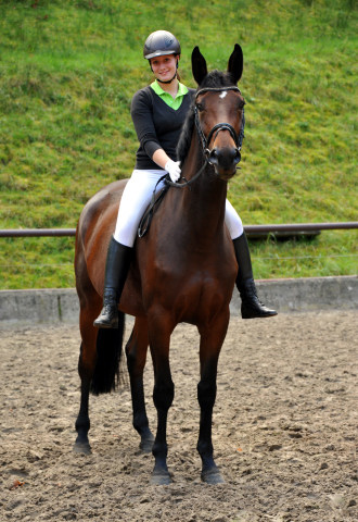 Elitemare Schwalbenlicht v. Imperio - Exclusiv- copyright Beate Langels, Trakehner 
Gestt Hmelschenburg