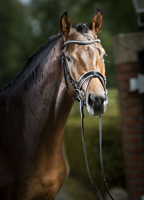 His Moment v. Millenium - Le Ruge - Foto Guido Recki