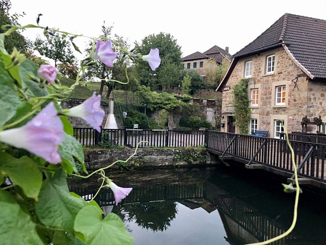 Schloss Hmelschenburg - Foto: Beate Langels - 
Trakehner Gestt Hmelschenburg