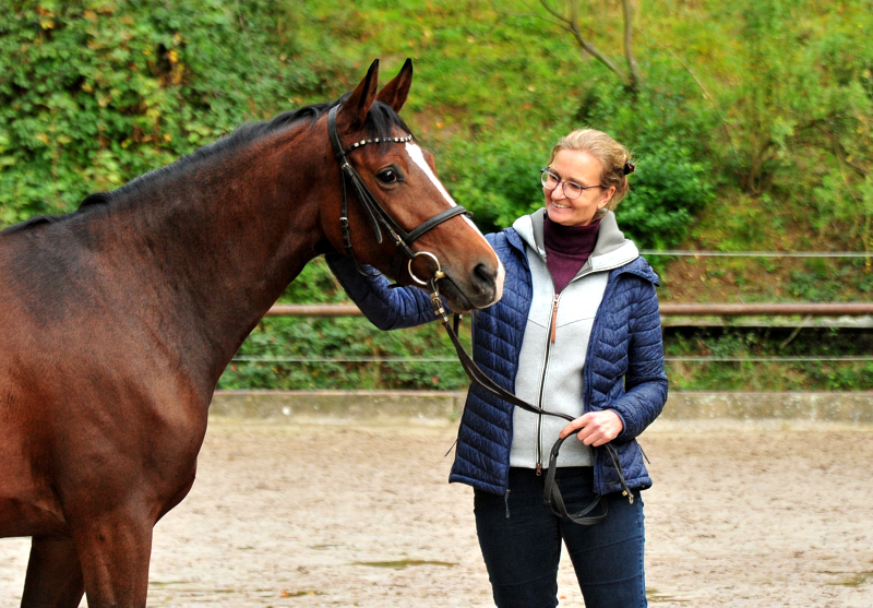 3jhrige Stute Schwalbenaura v. Kacyo u.d. Schwalbensage v. Grand Corazon - 
Trakehner Gestt Hmelschenburg - Foto: Beate Langels