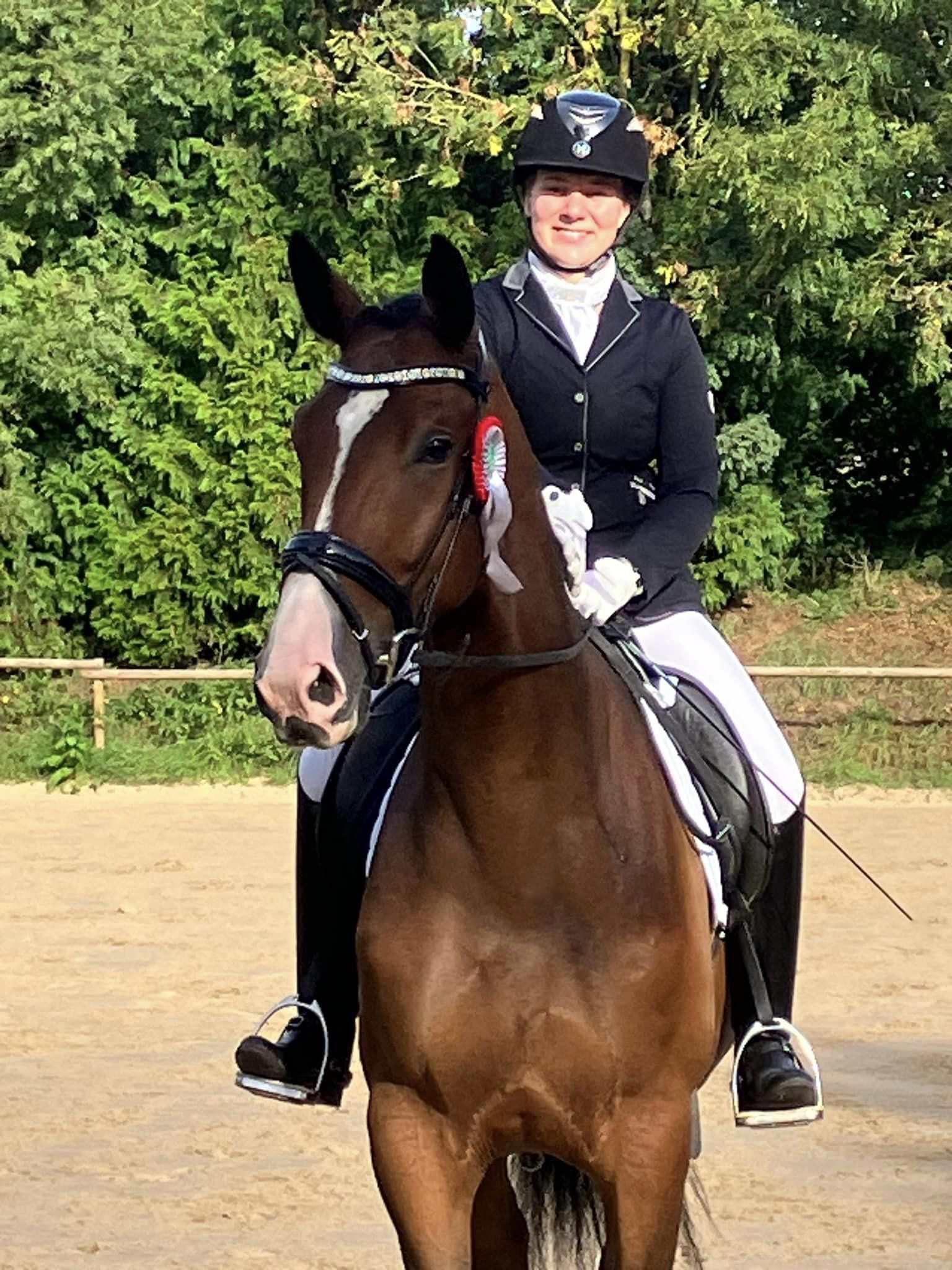 Tom Taylor von Zauberdeyk u.d. Pr.u.StPrSt. Tacyra v. Saint Cyr - Foto: Beate Langels - Trakehner Gestt Hmelschenburg