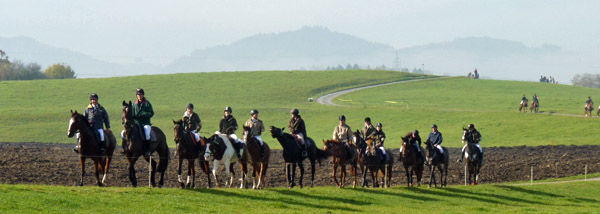 Talavera von Summertime - Exclusiv, Foto: privat - Gestt Hmelschenburg