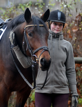 Hirtenglanz von Grand Passion x Summertime - gerade angeritten - Foto: Beate Langels - Trakehner Gestt Hmelschenburg