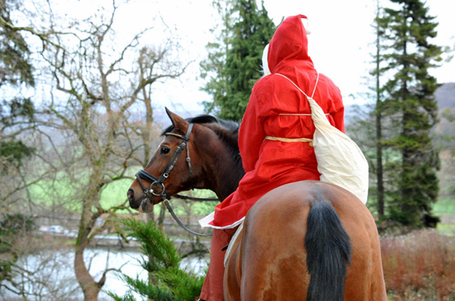 Der Nikolaus und Freudenfest im Trakehner Gestt Hmelschenburg - Foto: Beate Langels