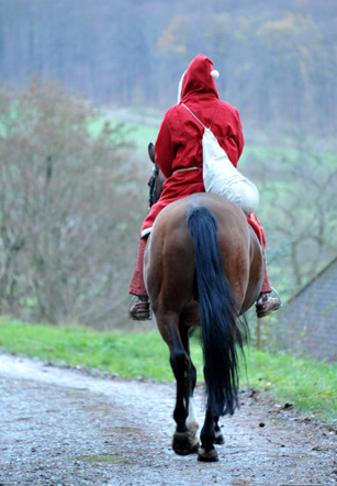 Der Nikolaus und Freudenfest im Trakehner Gestt Hmelschenburg - Foto: Beate Langels