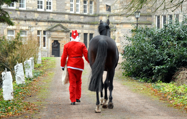 Der Nikolaus und Saint Cyr im Trakehner Gestt Hmelschenburg - Foto: Beate Langels