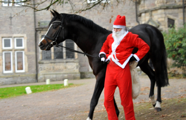 Der Nikolaus und Saint Cyr im Trakehner Gestt Hmelschenburg - Foto: Beate Langels