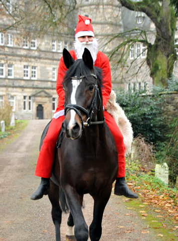 Der Nikolaus und Saint Cyr im Trakehner Gestt Hmelschenburg - Foto: Beate Langels