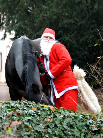 Der Nikolaus und Saint Cyr im Trakehner Gestt Hmelschenburg - Foto: Beate Langels