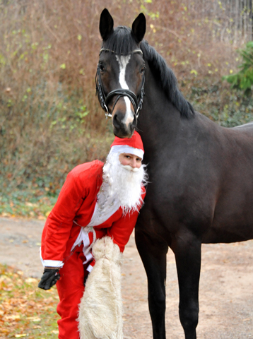 Der Nikolaus und Saint Cyr im Trakehner Gestt Hmelschenburg - Foto: Beate Langels