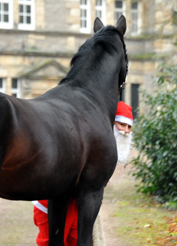 Der Nikolaus und Saint Cyr im Trakehner Gestt Hmelschenburg - Foto: Beate Langels