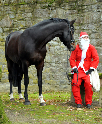 Der Nikolaus und Saint Cyr im Trakehner Gestt Hmelschenburg - Foto: Beate Langels