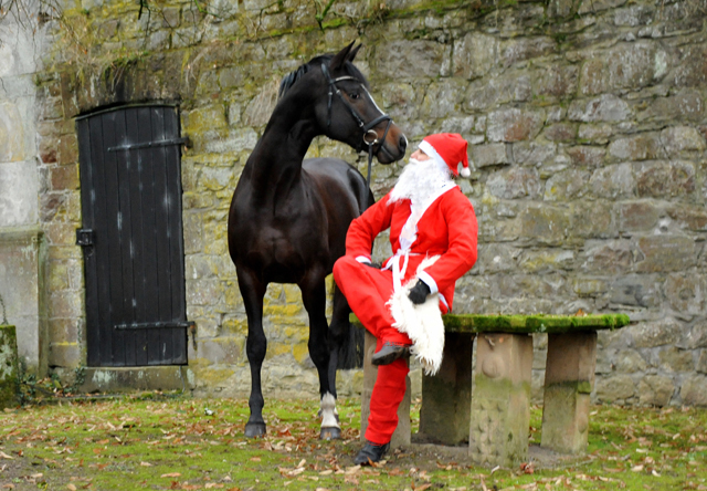 Der Nikolaus und Saint Cyr im Trakehner Gestt Hmelschenburg - Foto: Beate Langels